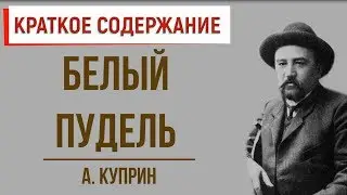 Белый пудель. Краткое содержание