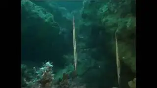 к4