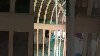наркабк Тилаки шикори