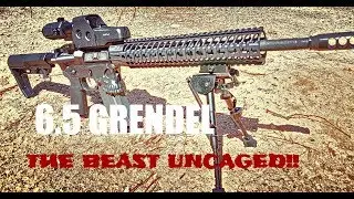 Why pick the 6.5 Grendel