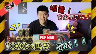 【盒玩開箱】1000++馬幣的盲盒開箱！！揭露盲盒界惡行！！【popmart】【泡泡瑪特】
