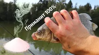 Секрет раскрыт! Этот запах карась чует летом за километр! Какой запах лучше приманивает карася?