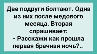 Подруга Интересуется, как Прошла Первая Брачная Ночь! Сборник Свежих Смешных Жизненных Анекдотов!