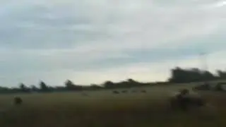 Пасу коровки на данний час блогер Михайло!