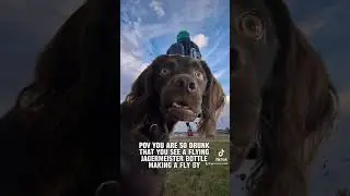 POV JAGERMEISTER MAKING FLY BY #ballooning #balloons #hotair #memes #meme #dogmeme #funny #funnys