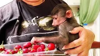 Даем Люсе ВИТАМИНЫ, а Татьяна надевает памперс, но Люська обиделась
