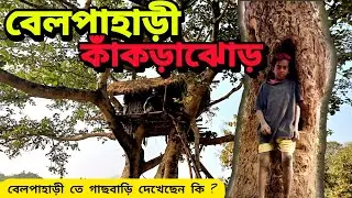 বেলপাহাড়ীর গাছ বাড়ি | Kankrajhore Tour | Belpahari Offbeat | Jhargram Bhraman | Kacha Lanka Hotel