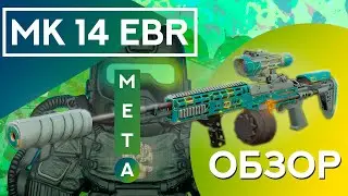 ОБЗОР на Mk 14 EBR | Stalcraft X