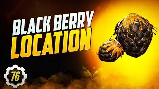 Fallout 76 Refugee's Guide Blackberry Location