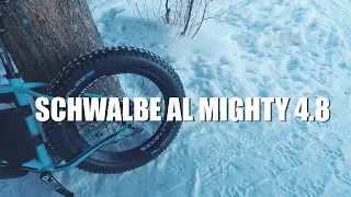 Отзыв о новинке SCHWALBE AL MIGHTY 4.8