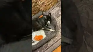 На Люсеньке весь дом и держится 🙈😍