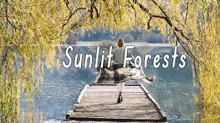 Life Feels Strange: An Indie-Folk Mix for Lost Souls in Sunlit Forests
