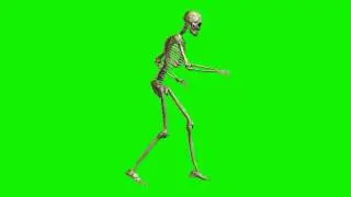 Green screen skeleton