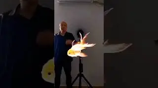 Holographic display| holographic fan