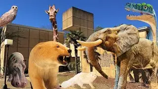 Really Interesting Museum | Anniston Museum of Natural History - Anniston, AL