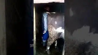 27 апреля 2023 г.