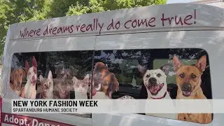 Spartanburg Humane Society making history, competing in New York Fashion Week