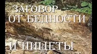 Заговор от бедности и нищеты