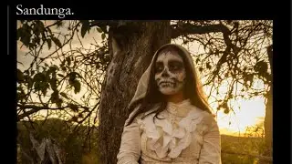 La Sandunga [Son Istmeño] | Mexican Dark Orchestra