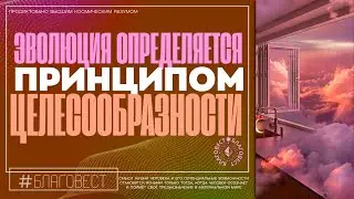 #БлагоВест