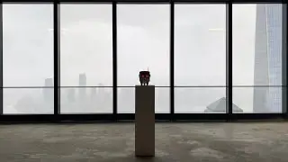 Where am I ?