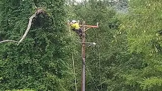 It Takes a Lot of Courage to do this Kind of Work!