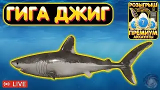 ГИГА ДЖИГ на Море 🔥 Розыгрыш ПРЕМОВ и ЗОЛОТА 🔥 Рулетка 🔥 Турниры 🔥 Русская Рыбалка 4 рр4 стрим 