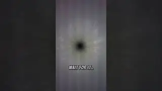 Humans Will Soon Destroy This As Well.. 