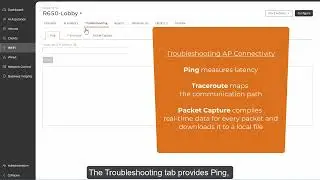 RUCKUS One: Viewing AP Data and Metrics