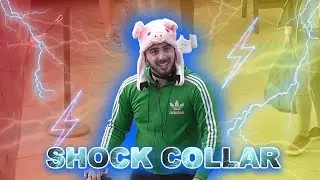 'SALT SHAKER' GIRL GETS REVENGE! | SHOCK COLLAR CHALLENGE