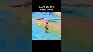 Co-op Chest |Genshin Impact #genshinimpact #genshinshorts #genshin #genshinguides #gaming #shorts