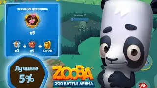 Обзор на персонажа Олли🐼, забираем событея 5% лучших и откриваем новый предмет в игре Zooba !
