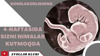 HOMILADORLIKNING 4 HAFTASI SIZNI NIMALAR KUTMOQDA ҲОМИЛАДОРЛИКНИНГ 4 ҲАФТАСИ СИЗНИ НИМАЛАР КУТМОҚДА