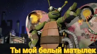 Клип черепашки ниндзя мики 