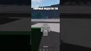 ТИПИЧНЫЕ ШОРТСЫ ПО TSB 