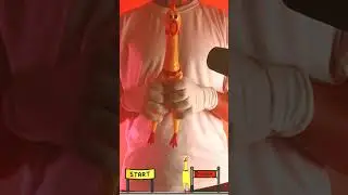 PSY - GANGNAM STYLE (Mr.Chicken)