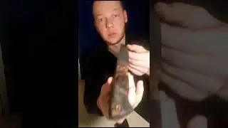 Нож из дамасской стали