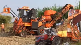 Case Sugarcane Harvesting Process  | Sugarcane Harvesting Machine Price