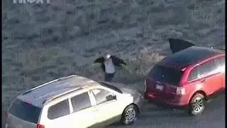 GTA