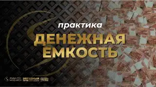 Практика Денежная Емкость