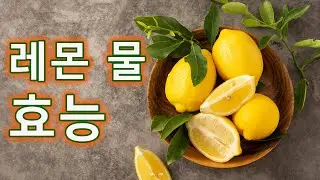 (KR) 레몬물, 정말 효과가 있을까요?  미ths 날리고 진실 밝히기!