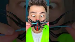 Life hack 😂 stop spider 🕷️