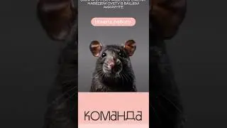 Что бы добавили? #сайт #дизайн #смм #конструкторсайтов #создание #фриланс #юмор
