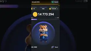Качаем Хомяка на Максимум! ХАМСТЕР КОМБАТ ТОП!  #hamsterkombat