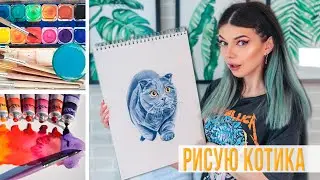 Рисую Котика Акварелью 🐈 | Как нарисовать Кошку акварельными красками