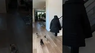 Playing Hide and Seek 