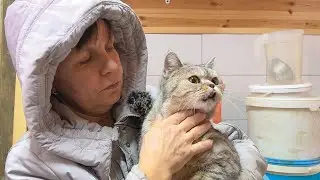 11 days with the owner's CORPSE indoors. It is hard to believe...