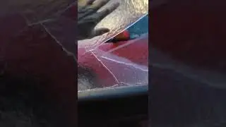 Лёд и ветер