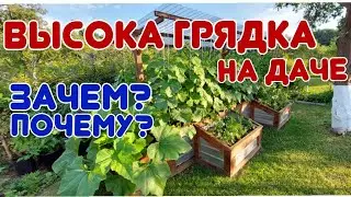 Высокая грядка для огурцов и помидор 