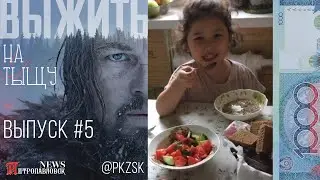 Семья веганов - итоги проекта | 